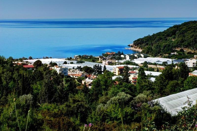 Апартаменти Ezgi Apart Karaoz Номер фото